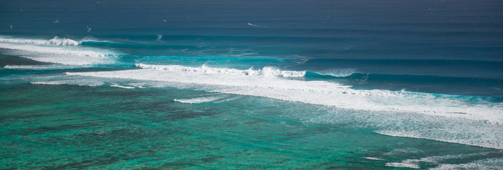 one-eye-mauritius